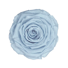 Load image into Gallery viewer, Infinity Rose in Small Glass Dome