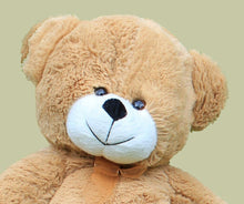 Load image into Gallery viewer, The Celebration Bundle