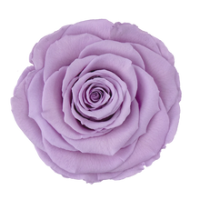 Load image into Gallery viewer, Infinity Rose in Small Glass Dome