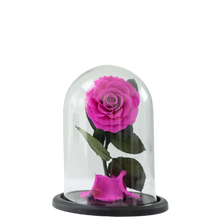 Load image into Gallery viewer, Infinity Rose in Small Glass Dome