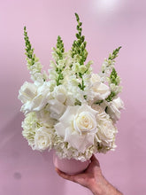 Load image into Gallery viewer, Lovely