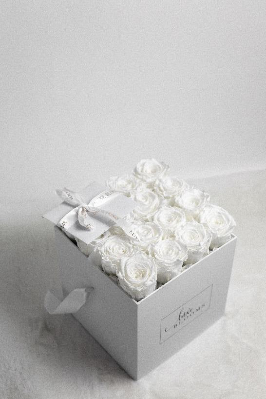 16 Infinity Rose Box