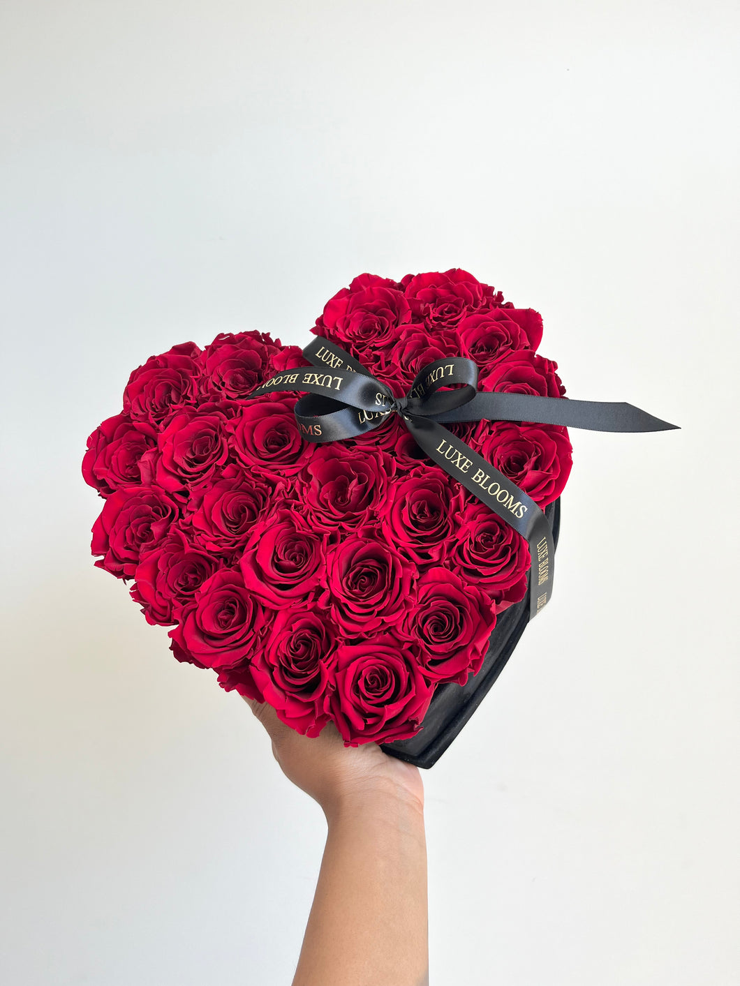This Is Love (Red Infinity Roses)