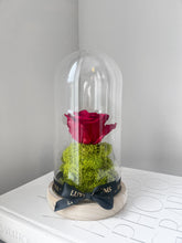 Load image into Gallery viewer, Single Infinity Rose Domes (Small)