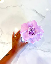 Load image into Gallery viewer, Single Infinity Rose Box in Velvet
