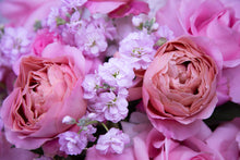 Load image into Gallery viewer, Sweetly Scented
