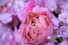 Load image into Gallery viewer, Sweetly Scented
