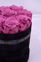 Load image into Gallery viewer, 9 Infinity Roses in Velvet

