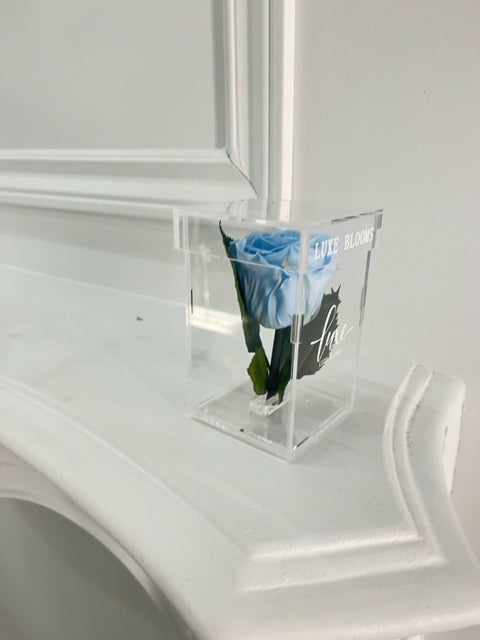 Single Stem Infinity Rose in Acrylic Box
