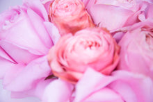 Load image into Gallery viewer, Mixed Fresh Rose Dozen Ceramic
