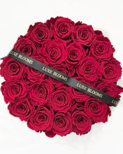 Load image into Gallery viewer, 22 Infinity Roses (red)

