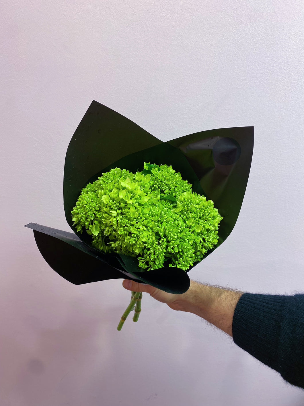 Mini Green Hydrangea Bouquet