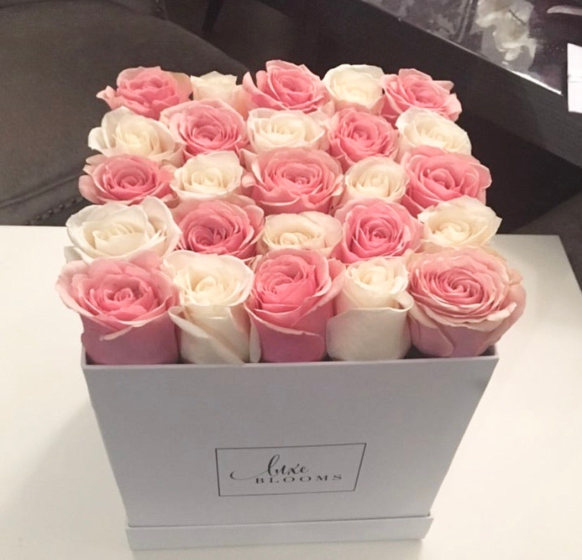 Blush & White | Luxe Blooms