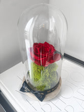 Load image into Gallery viewer, Single Infinity Rose Dome
