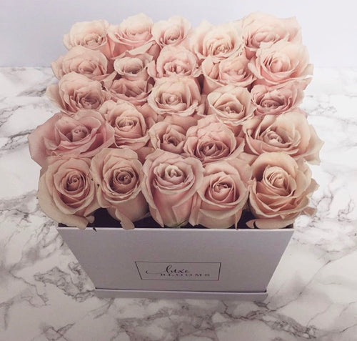 PINK | Luxe Blooms
