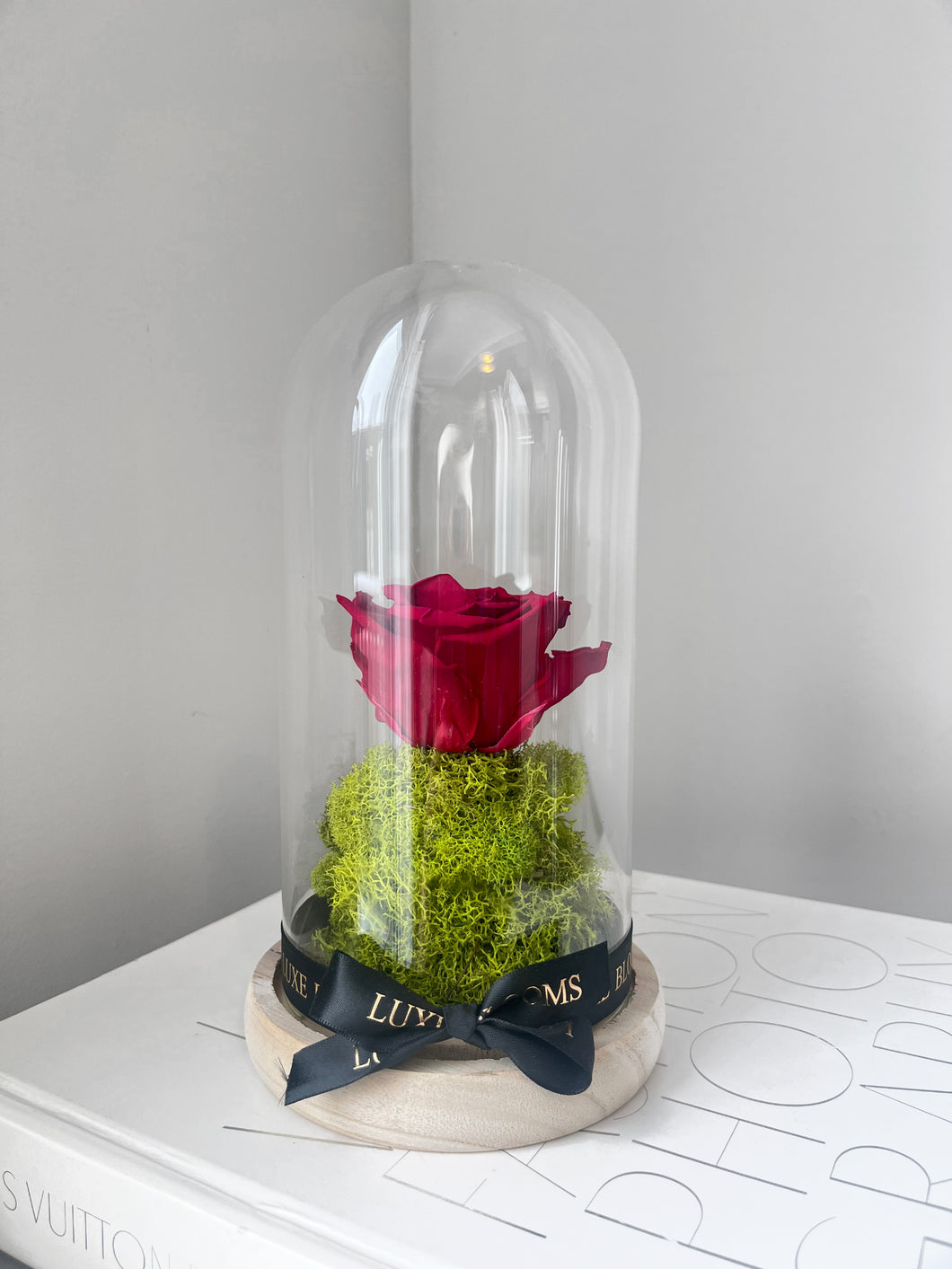 Single Infinity Rose Dome