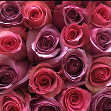Load image into Gallery viewer, Purple &amp; Pink | Luxe Blooms
