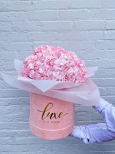 Load image into Gallery viewer, Hydrangea Signature
