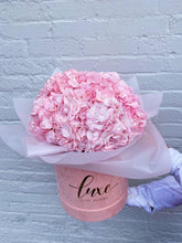 Load image into Gallery viewer, Hydrangea Signature
